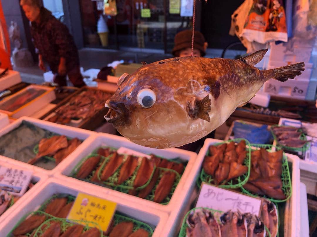 加藤愛さんのインスタグラム写真 - (加藤愛Instagram)「. 2日目 . まずは輪島の朝市へ！  はじめての朝市は週末ということもあり 朝早い時間は地元の人、10時過ぎには観光客で 賑わっていました🐡  輪島は天然フグの漁獲量が日本トップレベル！  朝市通りにある海幸さんの輪島フグ丼を食べました✨  少しだけフグを食べたい、お値打ちに食べたい方には 握り寿司がオススメです。 2貫で300円、もっとフグのことを知って欲しいとの思いから提供をはじめたそうです☺️ . お昼は木の浦海岸を眺めながら休めるカフェ Cafe Coveさんへ☕️ 景色が最高で落ち着きました！ 家族と友人と、一人で行っても満足できそうです😋  能登の塩が大好きなので塩田村に立ち寄り 自分へのお土産を買いました✌🏻 . 長々と書きましたが、  あす午前11時30分〜11時50分 「奥能登スペシャル」と題して放送します。  海と日本プロジェクトのロケでした🐟  明日、ぜひご覧ください！  #石川#奥能登#珠洲#輪島 #海と日本プロジェクト #日本財団#海プロ #輪島朝市#能登丼#輪島ふぐ丼 #珠洲塩田村#能登塩 #石川テレビ#アナウンサー」10月26日 21時21分 - kitkatoai
