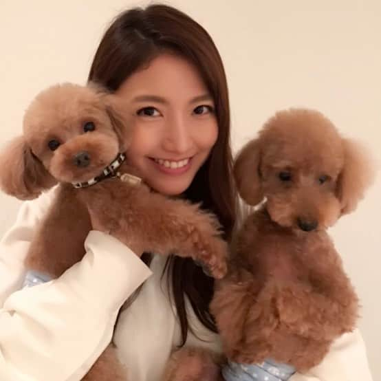 三田友梨佳さんのインスタグラム写真 - (三田友梨佳Instagram)「先日、愛犬たちと一緒にお仕事させていただきました。 雑誌の取材を受けたのですが、写真撮影ではアレンもレオンもしっかりポーズ。 よく頑張りました♡ #家に帰って #ホッと一息 #詳細はまた後日お知らせいたします」10月26日 22時49分 - yurikamita_official