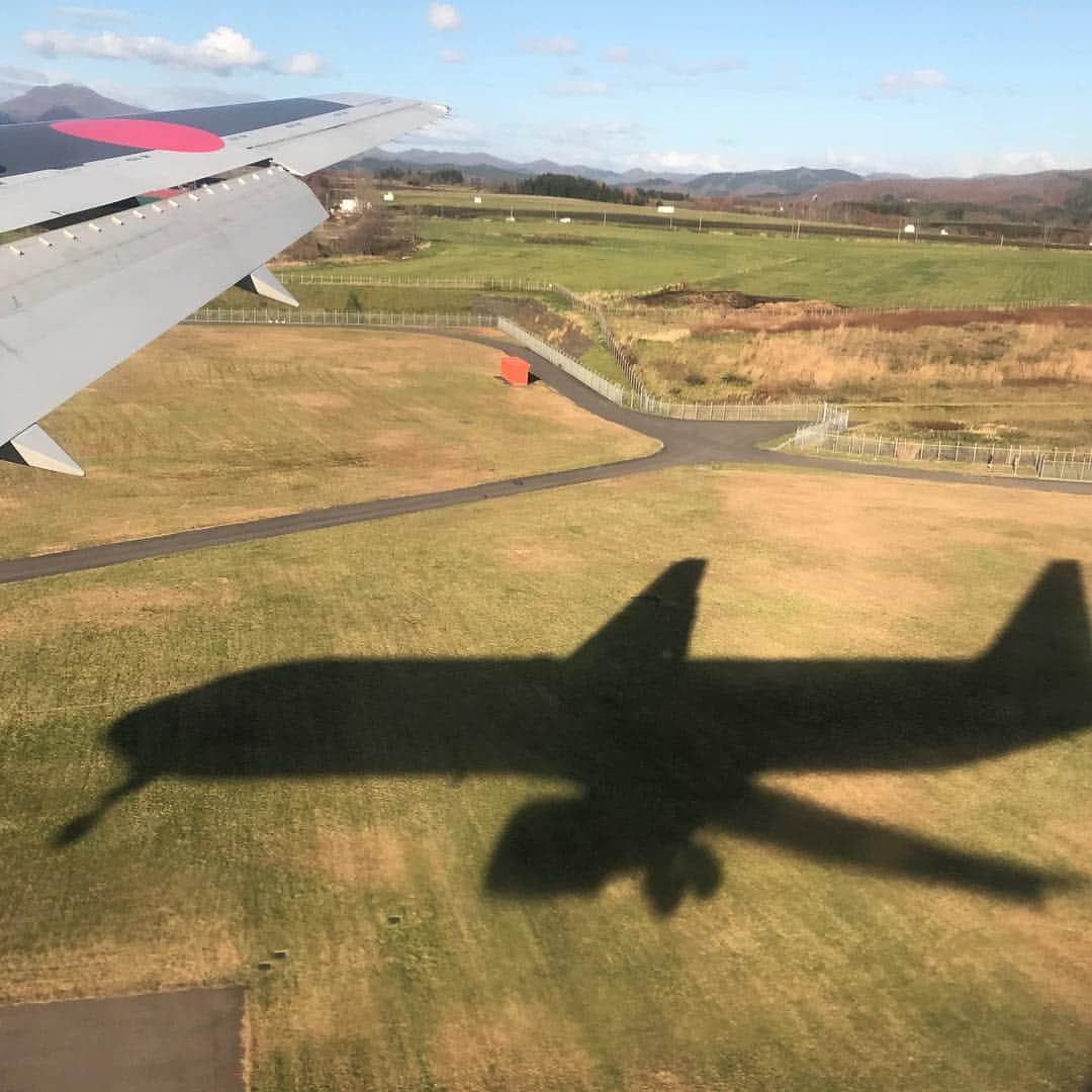 江口寿史さんのインスタグラム写真 - (江口寿史Instagram)「飛行機の影と雲の影ー♫ってユーミンか。函館到着。」11月10日 14時21分 - egutihisasi