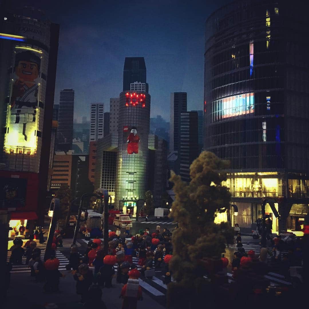 篠宮暁さんのインスタグラム写真 - (篠宮暁Instagram)「マダムタッソー前にいたレディガガ見て号泣してからの入場。確かにあれは怖い。 #レゴランド東京」10月27日 8時22分 - shinomiyaakira