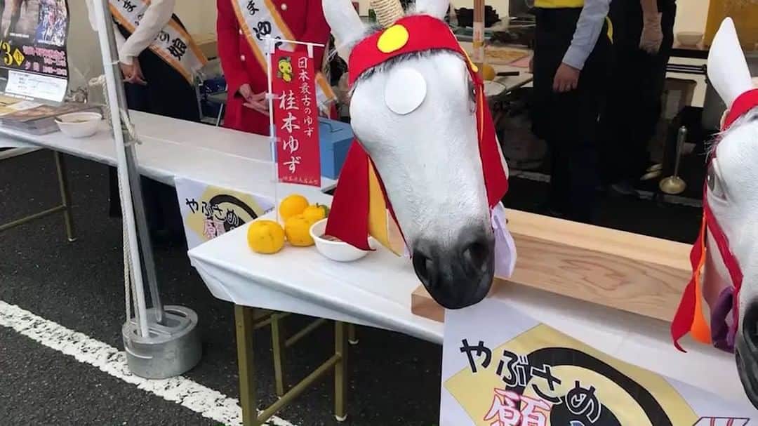 根岸愛のインスタグラム：「馬4頭...？」