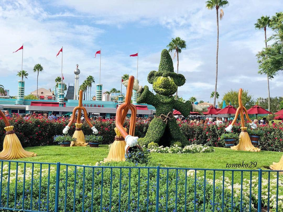 TOMOさんのインスタグラム写真 - (TOMOInstagram)「First time in Florida Disney🏰」10月28日 2時04分 - tomoko29_