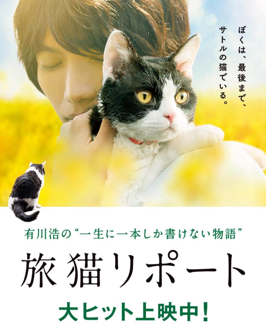 笛木優子のインスタグラム：「旅猫リポート🐈🐈🐈 公開中です。  ぜひ観て下さい🍁👌」