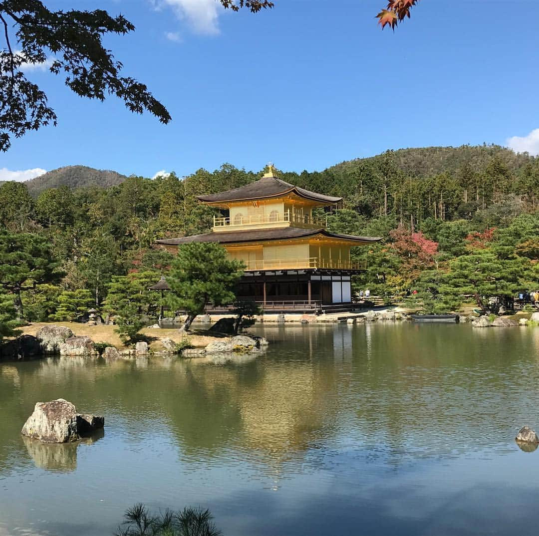 山口愛実のインスタグラム：「やっと家に着いた…😅 昨日から1泊2日の大阪京都旅行！  1日目、夕方に着いて新大阪→鶴橋→天王寺→心斎橋へ。 鶴橋はもちろんK-POPのショップへ😁 ずっと欲しかったが格安！？で売られてたから購入(笑) 天王寺は必ず行く手芸のパーツ屋さんを見に…😅 2日目は、金閣寺と下鴨神社へ。 両方ともずっと行きたくてやっと行けた🎵 今回は御朱印帳(ちなみにSHINeeカラーw)を記入してもらい、外国人観光客に混じって写真撮りまくり🤣🤣 下鴨神社ではSHINeeカラーの葵紐を見つけたので購入！(→仕事、恋愛など多くの良いご縁が結ばれるらしい😅) あんまり時間なくてバタバタだったけどリフレッシュできた😊 ただ1つ…大阪京都らしい食事を全くしてない事に今気がついた…😱 って言うよりほとんどご飯食べてない!!w 次行く時は美味しいもの食べよ😅 あと、新幹線…こだま🚄はきついね。 しかも行き帰り両方(笑)  そして…新幹線の中から見た広島の球場…広島ファンで真っ赤やった😅」