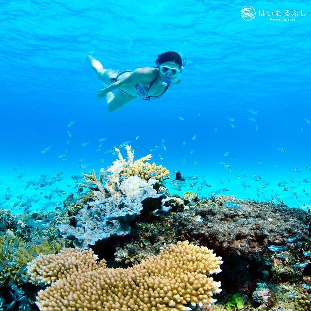 HAIMURUBUSHI はいむるぶしさんのインスタグラム写真 - (HAIMURUBUSHI はいむるぶしInstagram)「マリンピクニックで訪れる八重山の島々…  個性豊かなサンゴ礁の海で極上の島時間をお楽しみください。#沖縄 #八重山諸島 #サンゴ礁 #海 #シュノーケル #小浜島 #リゾート #はいむるぶし #japan #okinawa #yaeyamaislands #coral #bluesea #snorkeling #kohamaisland #beachresort #haimurubushi」10月29日 0時38分 - haimurubushi_resorts