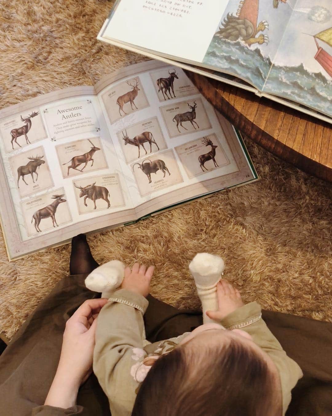 のインスタグラム：「普段読まない絵本がたくさんあり娘にいろいろ見せる中、動物図鑑とかいじゅうたちのいるところに手を伸ばしていました🦌📙🌳⛅️ . . #生後7ヶ月#babygirl」