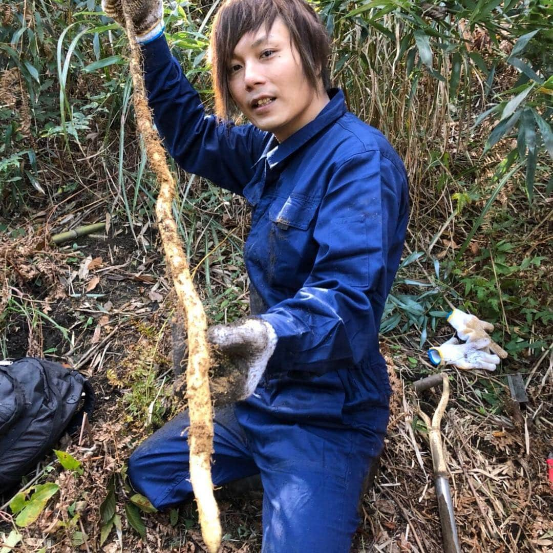 金丸竜児さんのインスタグラム写真 - (金丸竜児Instagram)「今日は気持ちが良い秋晴れでしたので、自然薯掘りに行ってきました(^^)v  苦労した甲斐あってバリうまです‼︎ 1年に2回位は良いですよねー(^^)（笑）  あっ、念の為、掘りに入った山は国有林で掘った穴もその後、綺麗に埋めております^ ^  #自然薯 #自然薯掘り #国有林 #掘った後は綺麗に埋めましょう #山芋 #山イモ #金丸竜児」10月28日 21時31分 - kanamaru_ryuji