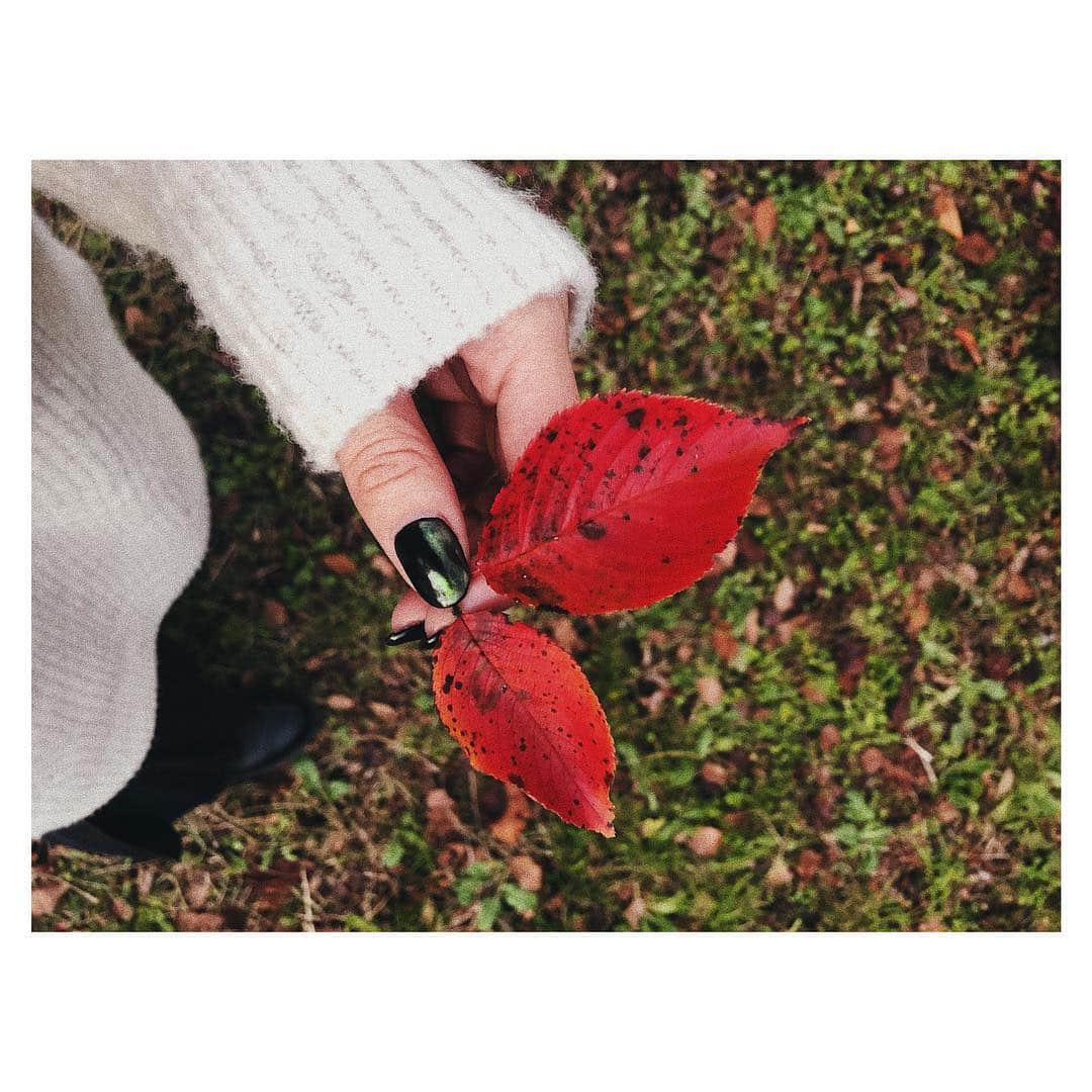 水谷望愛さんのインスタグラム写真 - (水谷望愛Instagram)「🍁 ❤️ ❤️ ❤️ おでこ蚊に刺されたけど、涼しくてきもちかった☺️ #紅葉#autumn#🍁」10月28日 22時02分 - noa0209_x_x_
