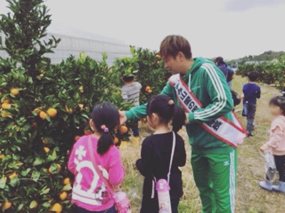 土肥ポン太さんのインスタグラム写真 - (土肥ポン太Instagram)「昨日と今日は和泉市のみかんの応援をしました。大阪和泉市のみかん、美味しいから皆食べてよね！道の駅いずみ山愛の里で売ってまーす！ #土肥ポン太 #和泉市 #横山みかん #山愛の里」10月28日 22時51分 - dohi_ponta