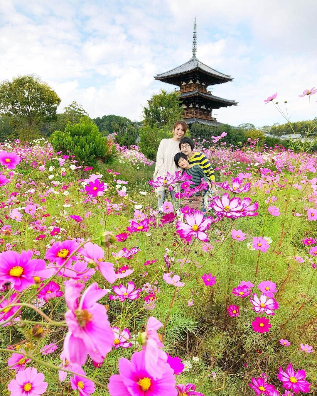 yoka1124さんのインスタグラム写真 - (yoka1124Instagram)「お父さん、お母さんと 秋桜を見に法起寺へ ・ ・ とても、とても綺麗でした ・ ・ お母さんの鬼太郎みたいの服はスルーしてください ・ ・ ・ ・ ・ ・ ・ #reca #japan #japantrip #japan_of_insta #奈良 #法起寺 #コスモス #秋桜 #プチ旅行 #trip #コスモス畑 #秋旅 #instagood #instatravel #temple #お寺 #国宝 #japantravel #nara」10月29日 19時13分 - yoka1124