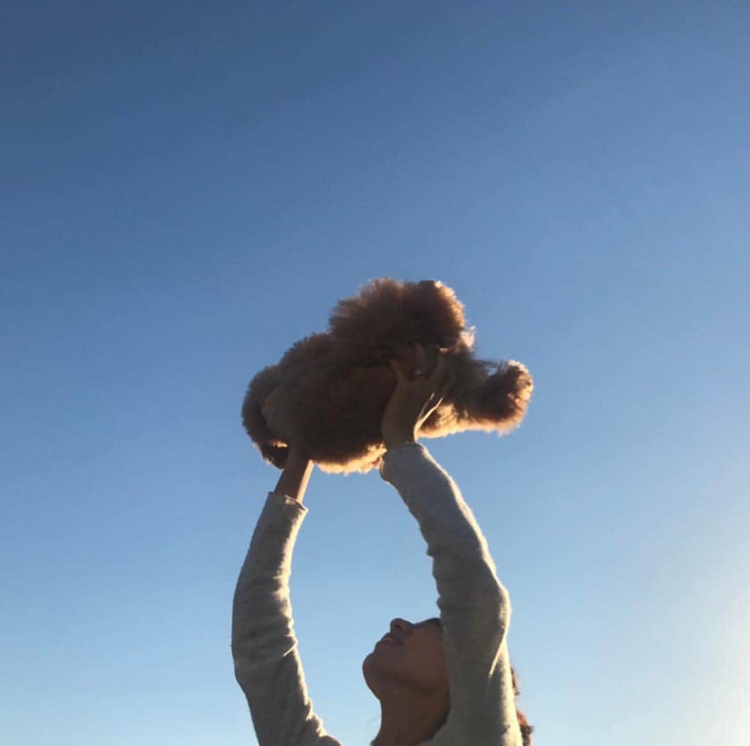 小泉里子さんのインスタグラム写真 - (小泉里子Instagram)「トコを抱っこすると全ての力を抜き身を委ねてくれる。最高に可愛い♡ 高い高いしながら寝てましたw 今日も綺麗な空だった。 #toquo #トコリケ」10月29日 20時15分 - satokokoizum1