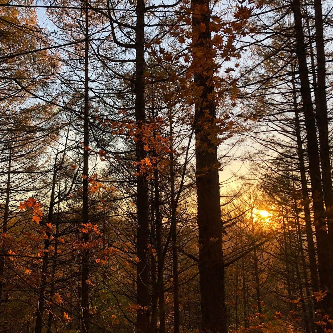 白數里子さんのインスタグラム写真 - (白數里子Instagram)「紅葉が綺麗な瑞牆。 初めてのハットエリア。 夕日に照らされた阿修羅。 柳さんのお尻。 順ちゃんのナイト。 楽しすぎたー！ ・ 阿修羅は届かないポケット取りの足を探しに行ったけど、見つからず。 飛ぶことを決意して、沢山のスポットのおかげでホールド触れた！ (←でも動画見たら5㎝しか飛んでなかったw) あとは思い切るしかない。 ・ 阿修羅かっこよすぎるから登りたい！ 柳さん、順ちゃんありがとう✨ @icebreakerjp  @eyecandyworks  @lasportivajp」10月29日 11時50分 - satopoppo1124