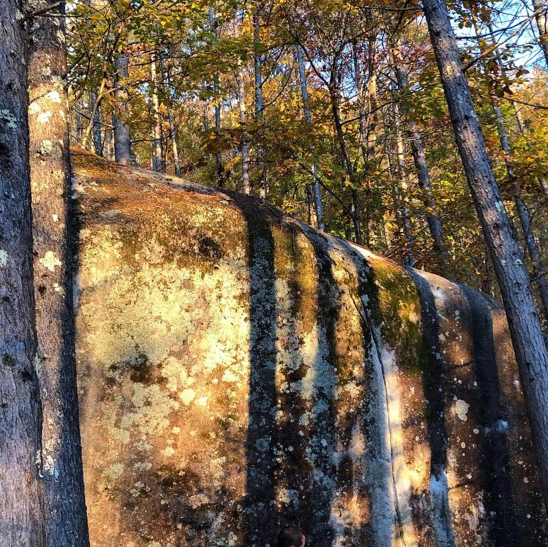 白數里子さんのインスタグラム写真 - (白數里子Instagram)「紅葉が綺麗な瑞牆。 初めてのハットエリア。 夕日に照らされた阿修羅。 柳さんのお尻。 順ちゃんのナイト。 楽しすぎたー！ ・ 阿修羅は届かないポケット取りの足を探しに行ったけど、見つからず。 飛ぶことを決意して、沢山のスポットのおかげでホールド触れた！ (←でも動画見たら5㎝しか飛んでなかったw) あとは思い切るしかない。 ・ 阿修羅かっこよすぎるから登りたい！ 柳さん、順ちゃんありがとう✨ @icebreakerjp  @eyecandyworks  @lasportivajp」10月29日 11時50分 - satopoppo1124