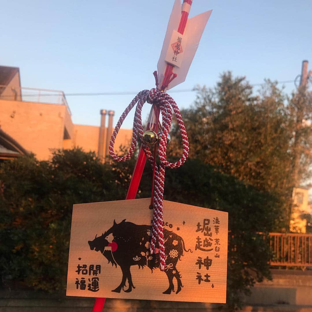 松下萌子さんのインスタグラム写真 - (松下萌子Instagram)「2019年 大阪・天王寺 パワースポットでもある #堀越神社 の #絵馬 の絵は わたしのこの猪のアートになります！ この神社の歴史はとても古く 聖徳太子が作った神社です。 徳川家が戦の際に 勝利を祈った神社でもあります。  なお、古くから「堀越さんは、一生に一度の願いを聞いてくださる神さん」という言い伝えがあるそうです。  そんな由緒正しい神社の ずっと念願だった、絵馬の絵を描けて本当に嬉しく思います。  初詣は、 堀越神社へ。  新年、この絵馬が、皆様の願い事と共に 神社中に並ぶのが更に楽しみです。  大阪では、阪神で2月6-12日までソロの個展があったり 2018年は、海外での活動メインでしたが 2019年は、日本での活動も、更にパワーアップさせて行きたいです。よろしくお願い申し上げます。 #moecochalkart #drawing  #art  #japan  #japanese #artist #moeco #チョークアート #チョーク #アート #tokyo #picture  #絵 #artist #黒板 #japaneseartist #アーティスト #blackboard #handmade #art_overnight #초크아트 #drawing_expression #workshop #艶画 #松下萌子 #chalkart  #moeco #猪年」10月29日 13時05分 - moecochalkartonly