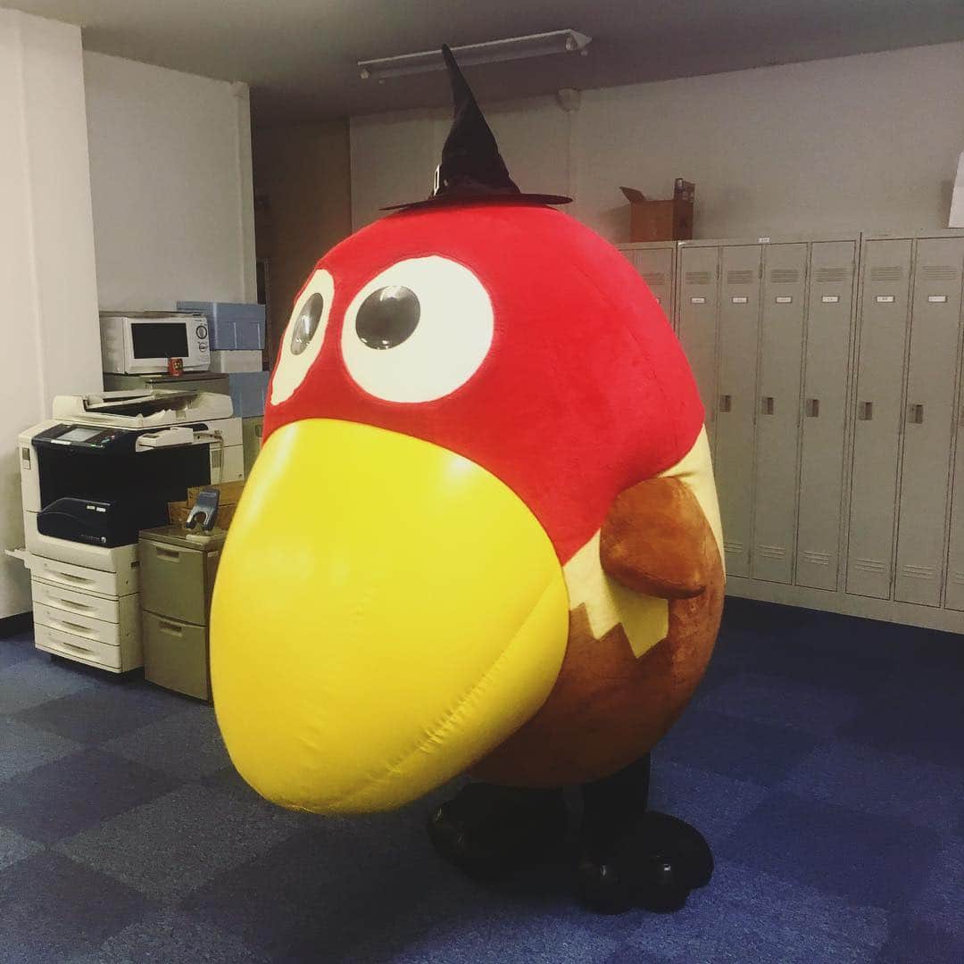 森永製菓さんのインスタグラム写真 - (森永製菓Instagram)「* 職場にあらわれたキョロちゃん！ ハロウィンに向けて仮装を考えていました。 . #森永 #森永製菓 #morinaga #キョロちゃん #大きい #ハロウィン #帽子 #マント もつけたいみたい #仮装 #準備 #オフィス感」10月29日 14時17分 - morinaga.104