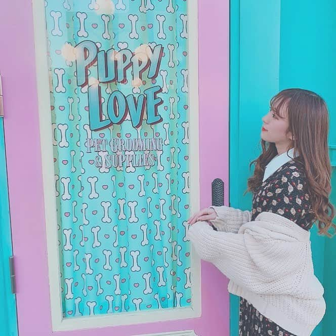 坂井古都さんのインスタグラム写真 - (坂井古都Instagram)「PUPPY LOVE 💓 ミニオンパークには可愛いお家が たくさんありました☺️🧡 . 初めてミニオンの乗り物乗ったけど 感動しすぎて終わったとき 友達と泣いちゃってました😭💓 映画観たことないからちゃんと 観たいなって思いました🤖 . みんなはミニオンの映画 観たことありますか🎥？ . 最近映画館で映画観てないから 何か観たいけどおすすめありますか💗 . #usjハロウィン #ミニオン #ミニオンパーク #usj #usjコーデ  #お洋服大好き #今日のコーデ #韓国ファッション #オルチャンファッション #셀카 #셀스타그램 #팔로우미 #팔로우환영💕 #하트뿅 #좋아요반사 #좋아요 #좋아요👍🏻 #millea #韓国ファッション #韓国コスメ  #韓国情報 #pink」10月29日 17時27分 - toco0625