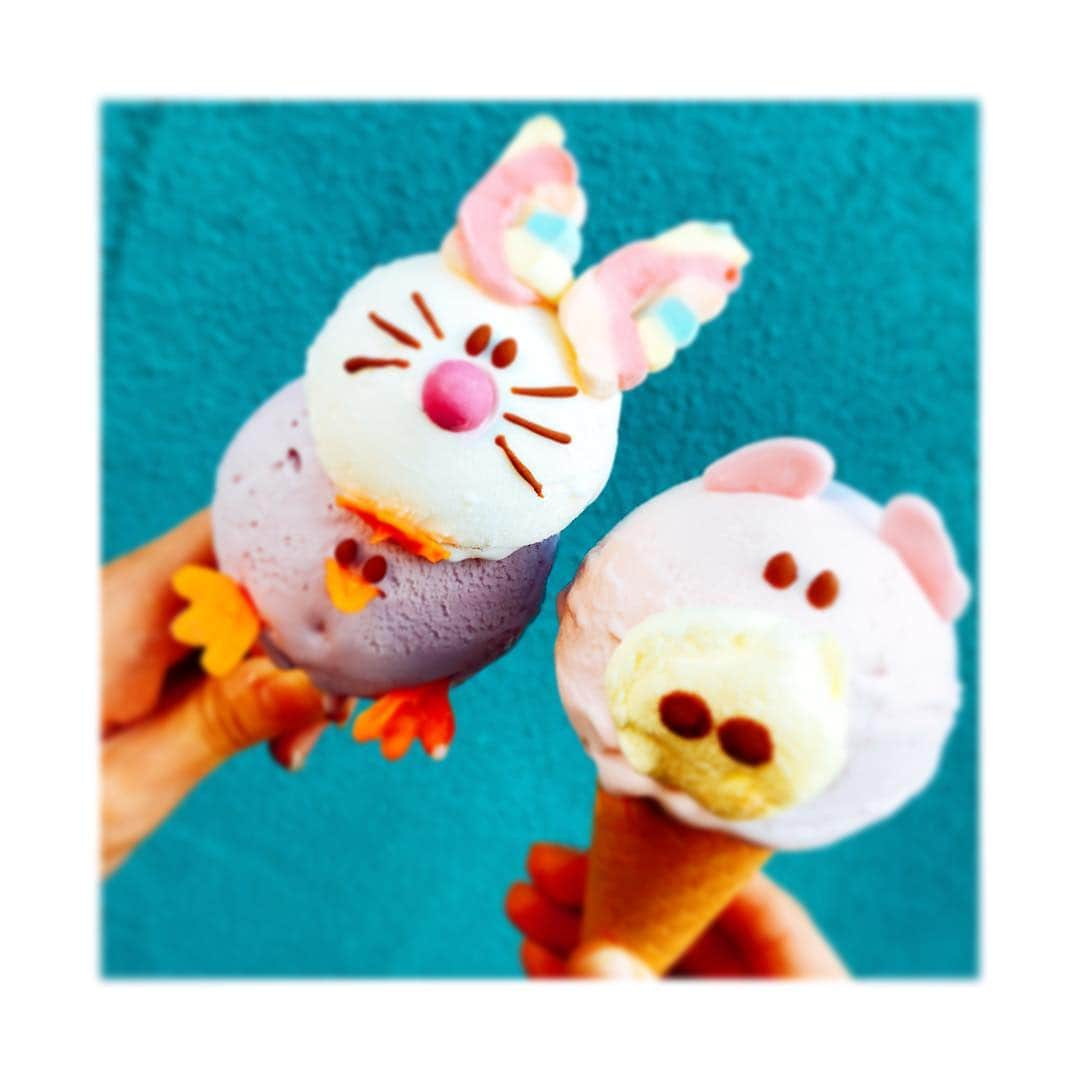 奈良未遥さんのインスタグラム写真 - (奈良未遥Instagram)「cute❤︎ #🐰 #🐥 #🐷 #🍦#アイスウェルトジェラート」10月29日 21時35分 - mihapiyo._.48