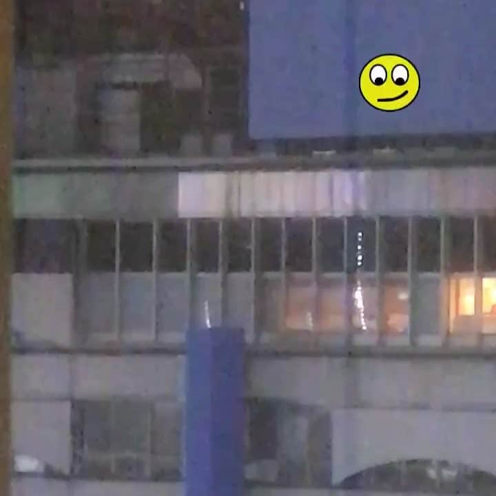 祝茉莉のインスタグラム