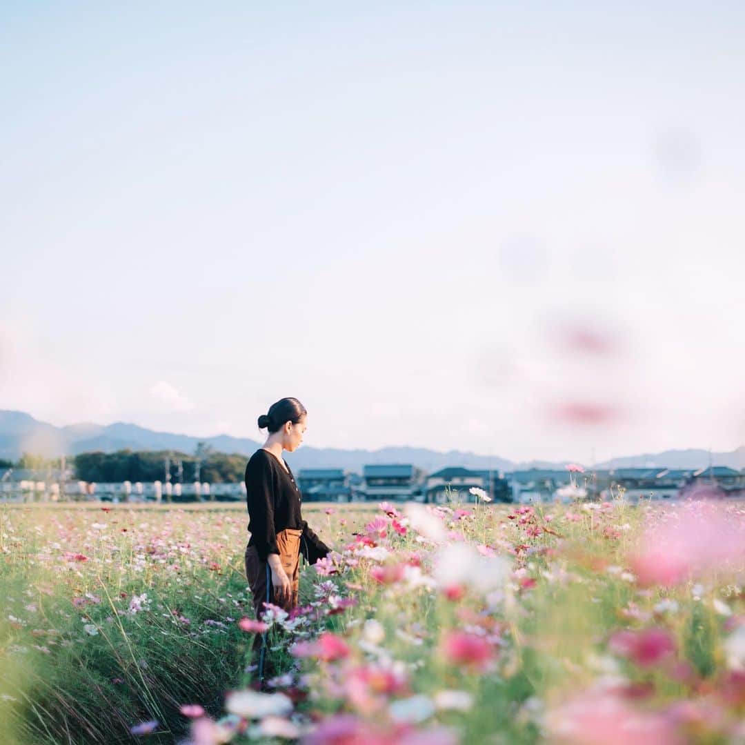 fuka_09さんのインスタグラム写真 - (fuka_09Instagram)「﻿ ﻿ #わたしは奈良派﻿ ﻿ ﻿ 奈良の魅力をもっともっと伝える﻿ @watashiha_naraha_official の﻿ アカウントでの写真を撮影して﻿ います☺︎ 紅葉が近づくにつれて﻿ さらに奈良は美しくなりますよ🦌🍁﻿ ﻿ #nara #visitnara #naratrip﻿ #奈良 #奈良観光 #鹿 #奈良公園﻿」10月30日 18時39分 - fuka_09
