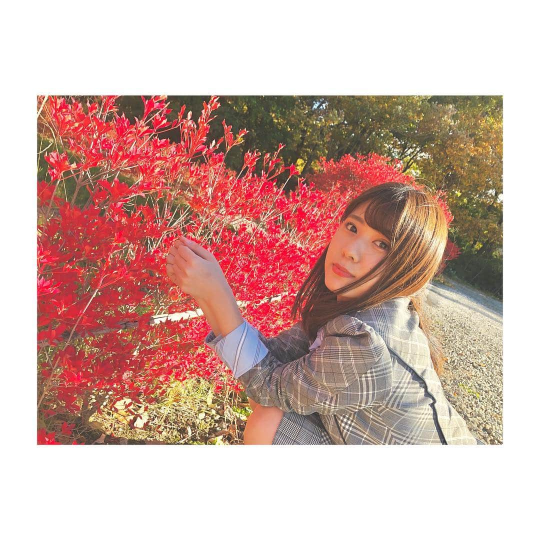 清水麻璃亜のインスタグラム：「* 秋の自然の素敵さにようやく気づいたよ〜🍁」