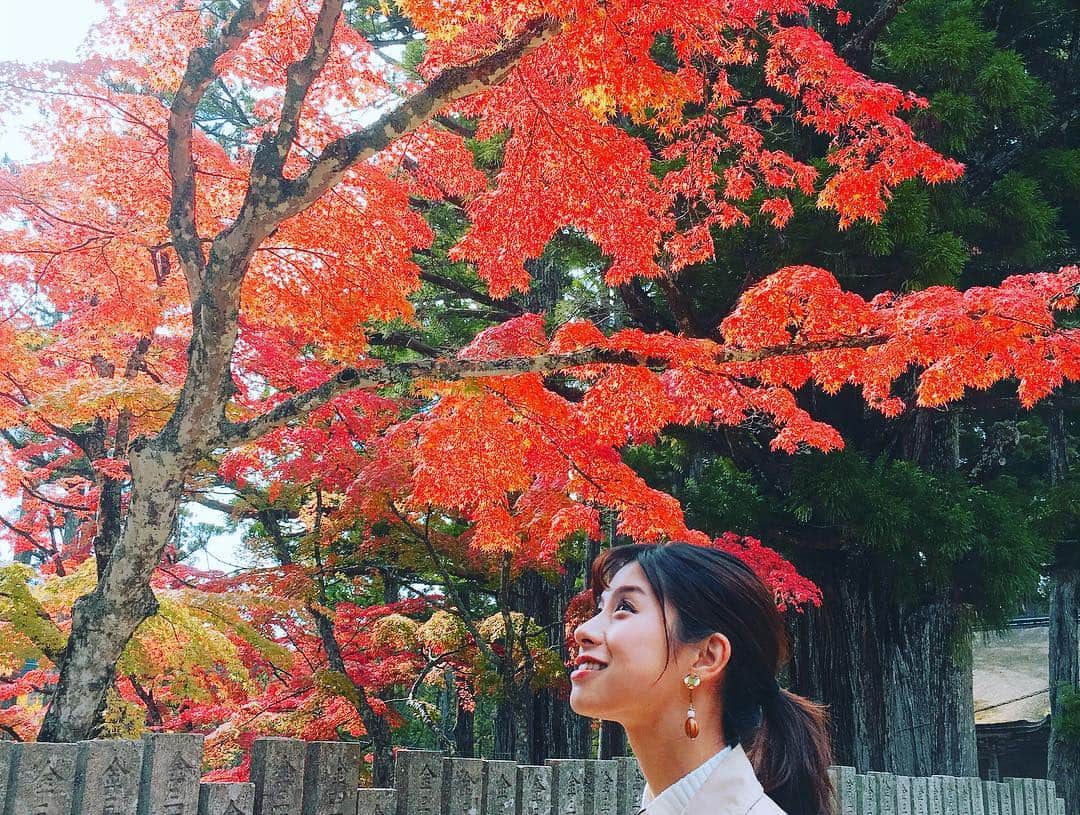 のインスタグラム：「今日はおはよう朝日土曜日です🌞のロケでした！ 高野山で一足早く紅葉を目撃🍁 とても綺麗でした✨ 今週土曜日放送ですςϋॽᵋᵌ お楽しみに♪ #おは土 #高野山 #紅葉 @ohado6ch」