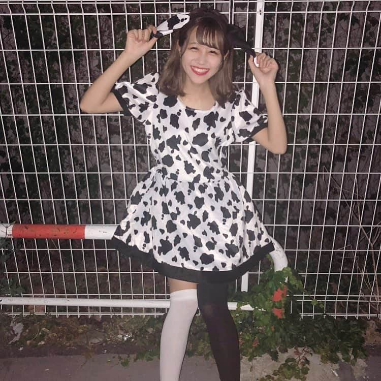 嶋田のあさんのインスタグラム写真 - (嶋田のあInstagram)「102匹目...？ ՞•ﻌ•՞‪︎‬ ‪︎ #サクヤコノハナ #ダルメシアン」10月31日 7時44分 - shimada_noa