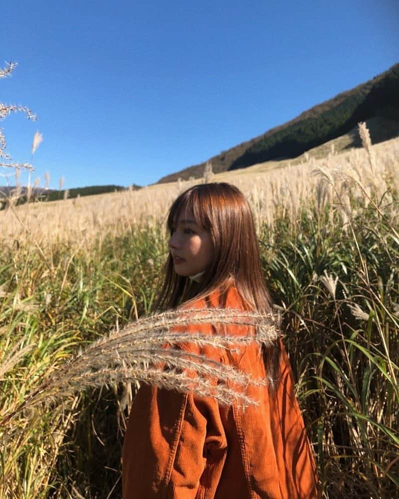 にわみきほさんのインスタグラム写真 - (にわみきほInstagram)「🌾🌾🌾 #箱根 #hakone #仙石原 #仙石原すすき草原」10月31日 10時58分 - mikiho_niwa