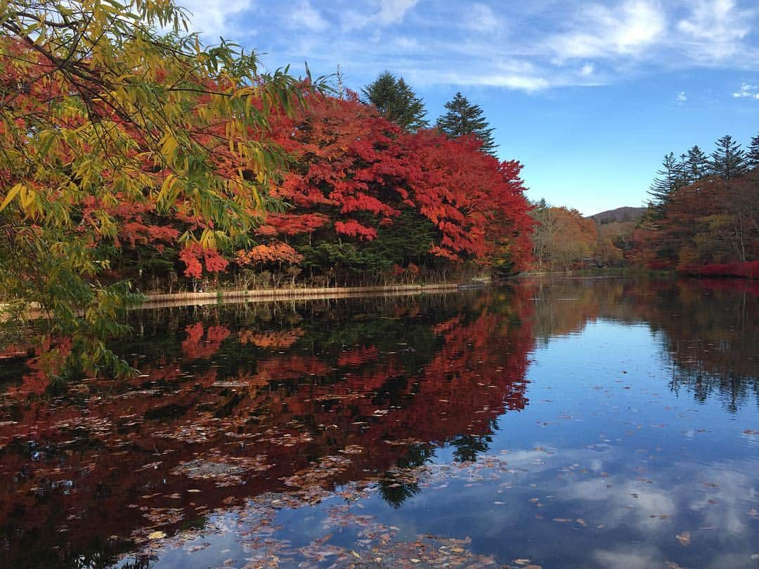 山中崇史さんのインスタグラム写真 - (山中崇史Instagram)「今朝の軽井沢雲場池。思い立って紅葉狩りに。 本日もよる9時。相棒17 第3話 宜しくお願い致します。 #相棒 #あいぼう  #軽井沢 #雲場池 #ドライブ」10月31日 12時49分 - yamanaka_takac