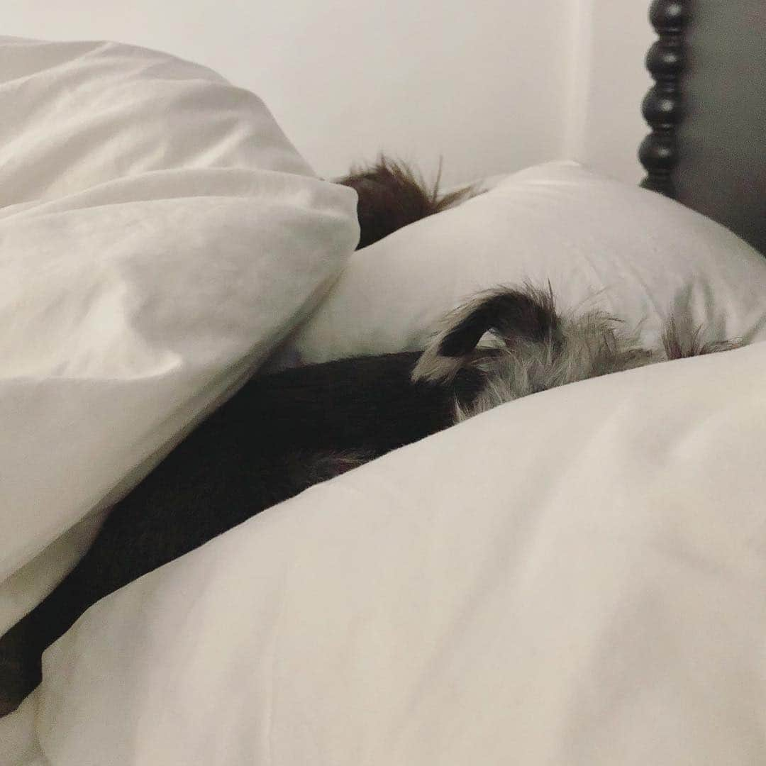 クリスチャン・スレーターのインスタグラム：「My wife took this to show me how similar my dog and I look in the morning.」