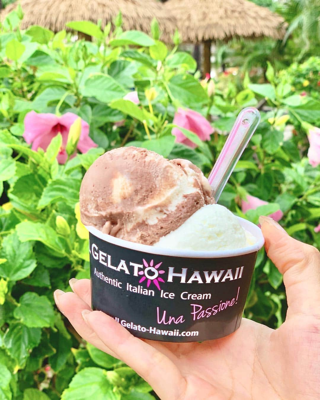 西村笑花さんのインスタグラム写真 - (西村笑花Instagram)「#😋 ・ ・ Hazelnutchocolate × Seasalt #yum 😋💓 #🍨 #gelatohawaii #poolside #hawaii #koolina #emihawaii🌴 #emika_trip」10月31日 21時39分 - emika_nishimura