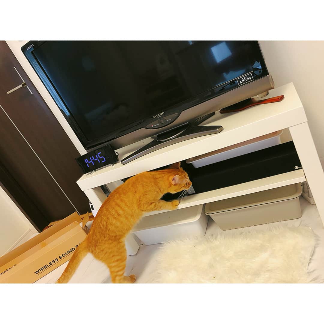 のインスタグラム：「前にストーリーには載せてたけど投稿でも🙋‍♀️ 最近のお気に入りのサウンドバー、Amazonで7千円くらいなんだけど部屋が一気に温かい雰囲気になる音質で部屋にいる時間が更に楽しくなっている〜。。。もともと引きこもり体質だから更に家から出てません。笑  有線接続もBluetooth接続もOK！  テレビ台にちょうどハマるサイズ感なので見た目もかっちょいい！映画観るときにこっちスピーカーにしたらめちゃ迫力出たし！Amazonでチェックしてみそ。」