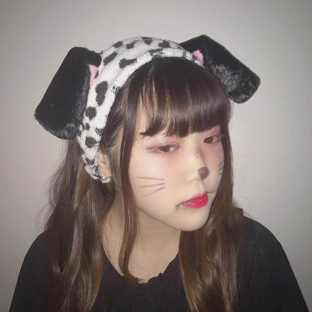 Nanahoさんのインスタグラム写真 Nanahoinstagram ハッピーハロウィン犬 家でメイクして満足 10月31日 23時05分 Nanaho Tempurakidz