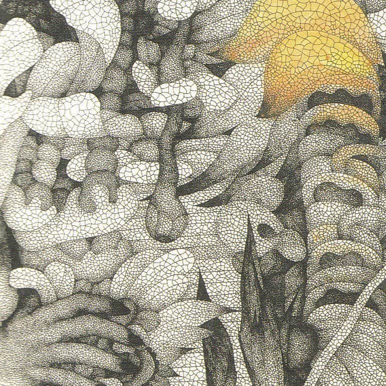 のインスタグラム：「Title 【 元想進 】1994 #veinsofaleaf #skeltonleaf  #pencildrawing #gouachepainting #contemporary #paper #print #80sartwork #drawing #watercolorpainting #japaneseart #minimalism #japonismes #allhandwork #keitojoh」