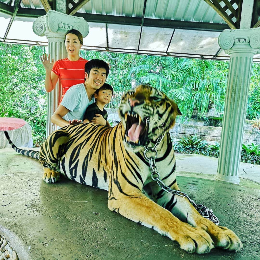 投資家兼FXトレーダー Tatsuki Jinnoのインスタグラム：「リアルトラをなでてきました。 笑顔だけど心臓バクバクでした💦」