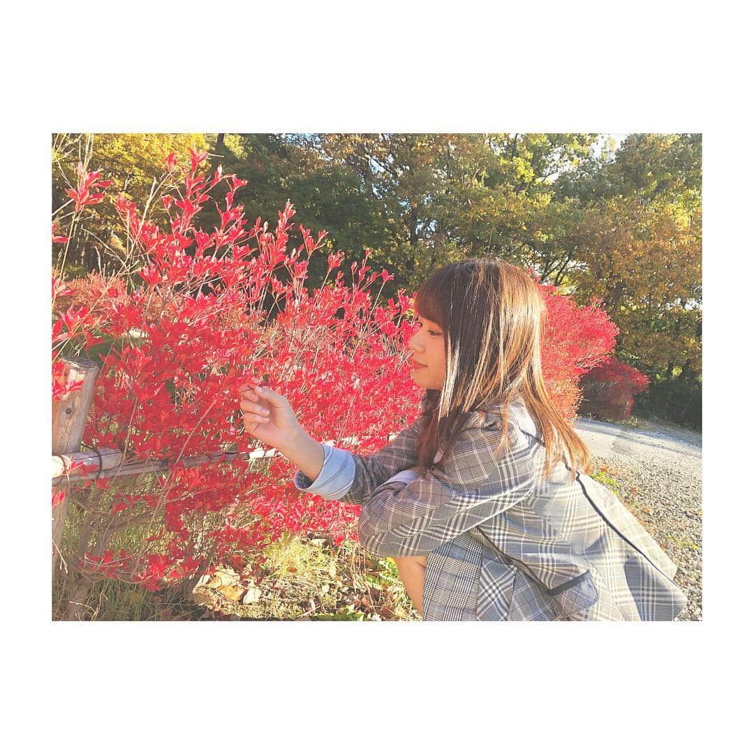 清水麻璃亜のインスタグラム：「* マネージャーさんと一緒に秋の自然にテンション上がって たくさん写真撮ったんだ〜🍁 「この赤い花も秋ですか！？」 ってマネージャーさんに聞いて撮ってもらいました☺️笑」