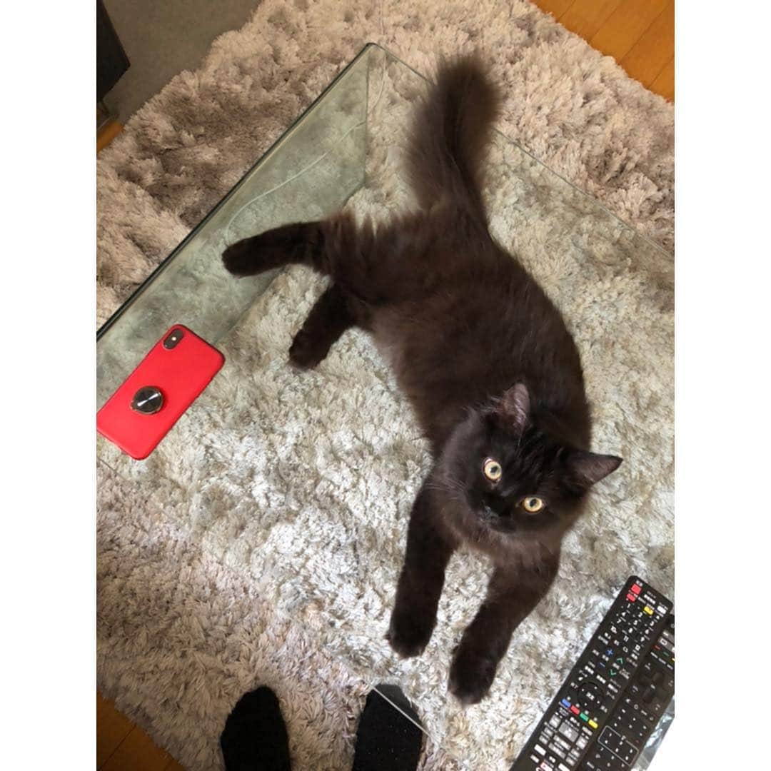 春輝のインスタグラム