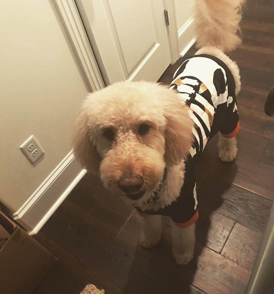リック・ヤンシーのインスタグラム：「Even Max gets into the Halloween spirit! #happyhalloween2018🎃👻 from the both of us!」