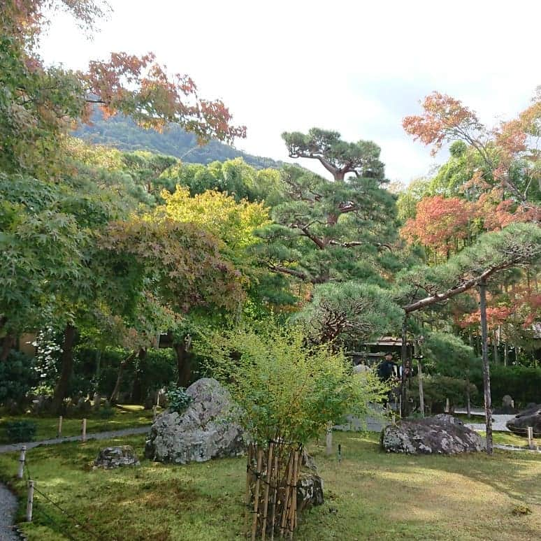 さゆりさんのインスタグラム写真 - (さゆりInstagram)「『秋の京都におこしやすキャンペーンin嵐山』で渡月橋に行かせて頂きました〰️🍁🤗🍁門川市長✨市田先生✨そして🎵ミスインターナショナルの世界美女の皆様〰️😍😍😍宮川町の舞妓とし菜実ちゃん💖  #実は ‼️ #京都出身 #かつみ❤ さん  #はんなりした所…全くありません😅💦 #大好きな京都で嬉しい‼️ #渡月橋 が #9月の台風被害から #早期完全復旧しましたぁ〰️💖🤣💖 #こんなに早く復旧出来た #その理由 は‼️ #渡月橋 が #先人の知恵と工夫の塊の橋だからなのです〰️✨🤣✨ #いよいよ #紅葉  です🍁🍁🍁 #心の高揚に🤗京都におこしやす〰️🍁 #かつみさゆり  #かつみ❤️さゆり #門川市長 #市田ひろみ さん #ミスインターナショナル  #舞妓 さん #京都  #紅葉  #吉本坂46  #❤️さゆり  #さゆり」11月1日 21時46分 - katsumisayuri_sayuri