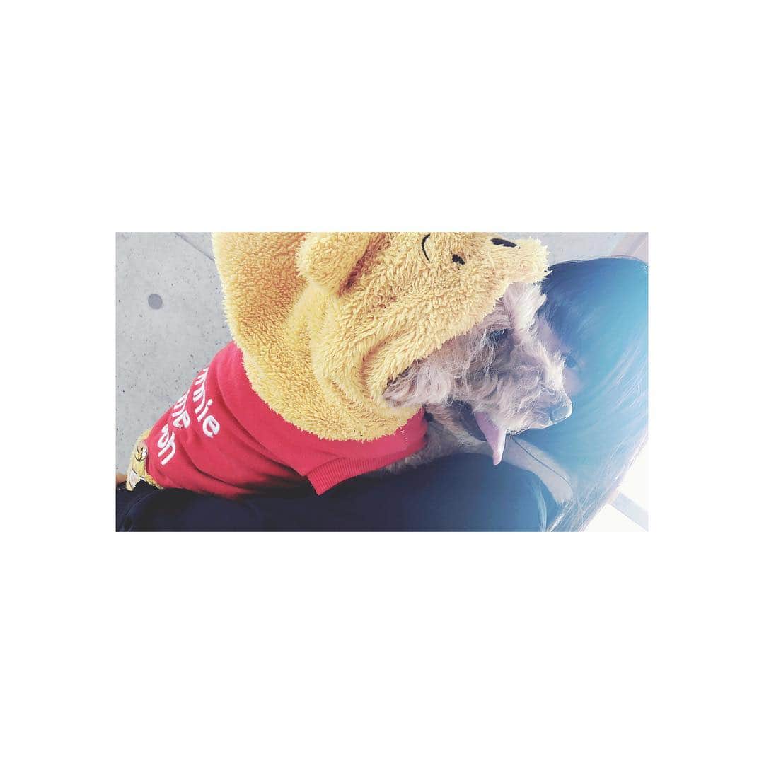 石井杏奈さんのインスタグラム写真 - (石井杏奈Instagram)「#ハロウィン #poohさん」11月1日 14時23分 - anna_ishii_official