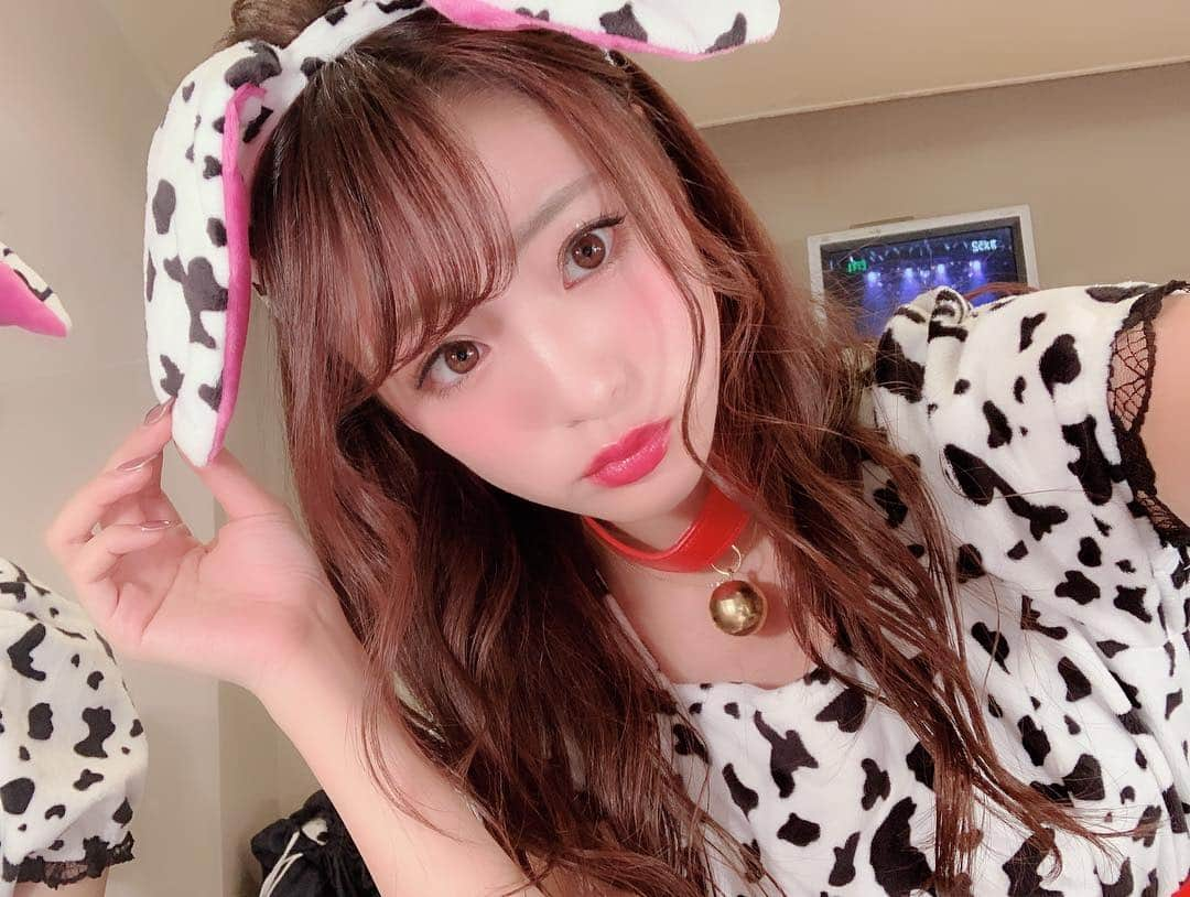 志田友美（ゆうみん）さんのインスタグラム写真 - (志田友美（ゆうみん）Instagram)「遅くなったけどはぴはろ。 本当は人参🥕になる予定だったけどイッヌ！w 犬の日ということで🐶 #happyhalloween #dog #japanesegirl #halloween #halloweencostume #live #instagood」11月1日 23時14分 - yuumi_shida