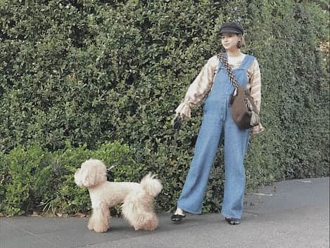 岸本セシルのインスタグラム：「はろー🌈  今日はいい天気だったね！お部屋の空気も入れ替えて気持ちよかった✨  写真はついこの間、とっちゃんと明治神宮周りを散歩した時🐶  妊婦に、オーバーオールは本当にらくちんっ💛 締め付けられないしゆったりリラックス出来るから、数年前買ったオーバーオールをヘビロテしてるよ😝  中に着たベージュのブラウスも妊娠前に購入したもの🌼 袖コンシャスっていうのかな？(不安) 袖にデザイン入ってると手抜き感もないでしょ😝👍 キャスケットとシューズの黒で締めて。 キャスケットはボブヘアにも合うねー。耳掛けでかぶるのが良い感じ✨  バックは斜めがけで🙆🏻‍♀️ ベルトが太くて柄も可愛いからお気に入りだよ！ ベルト太いと物が入ってても痛くないしね❣️ シューズは 妊婦になって買い足したアイテム😊  ぺたんこでサクッと履けて優秀です🔥  そんな妊婦コーデです😉 妊婦じゃなくても着れるけどね😚  ブランドは全て タグ付けしてます🌙  #ルー妊婦コーデ #私服撮るの忘れちゃうんだよね #旦那にお願い #周りの視線を気にしながら #早く早く急かしながらw #明日は楽しみな日なんだ  #るんるんせしるん #笑」