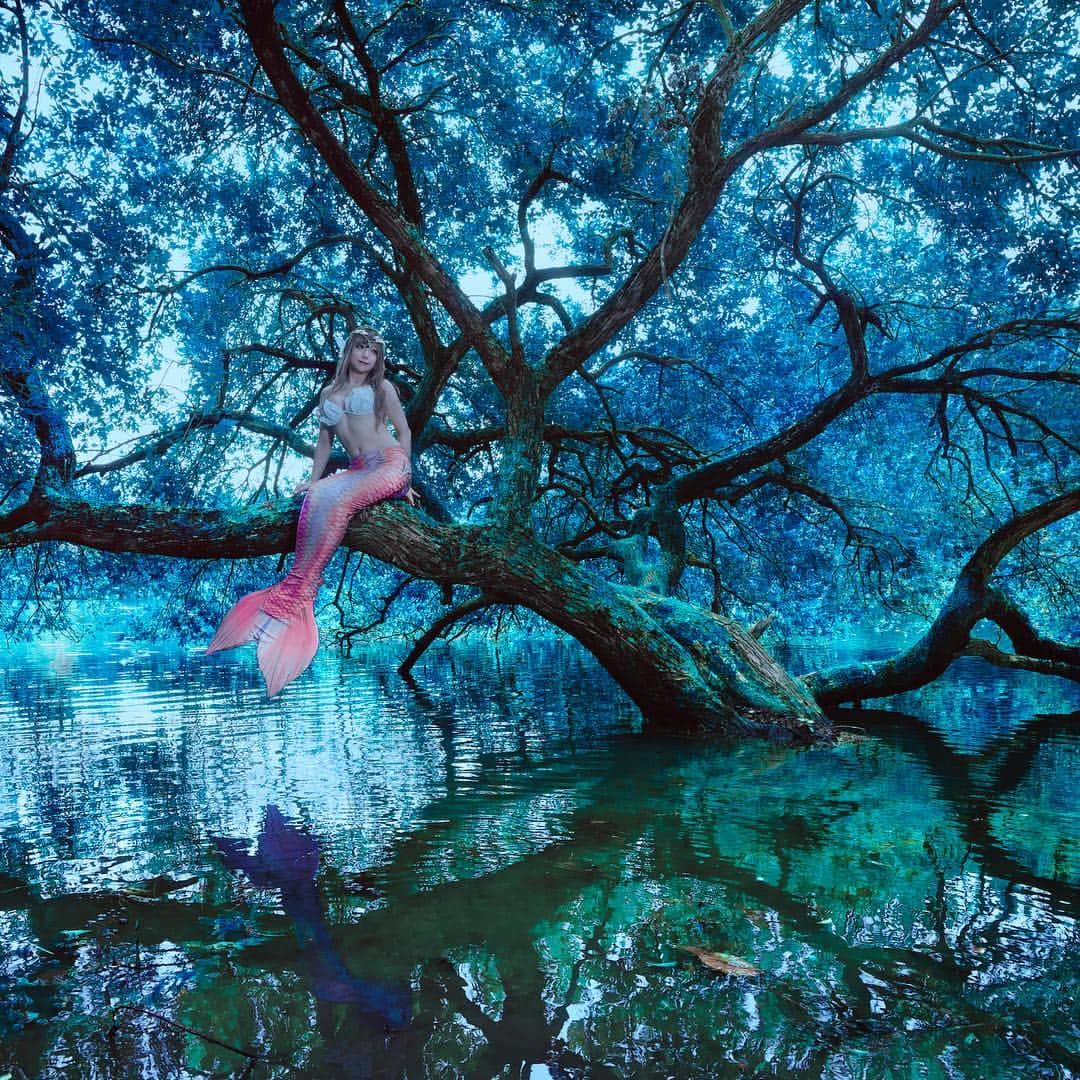 ふぇりすみにょんさんのインスタグラム写真 - (ふぇりすみにょんInstagram)「Mermaid lagoon before dawn🧜‍♀️ #mermaid  #mermaiddress  #lake  #japanesegirl  #portrait  #マーメイドドレス  #ポトレ  #cute  #インスタ映えスポット」11月1日 20時45分 - oiran_mignon