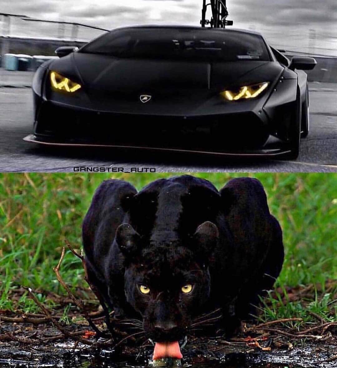 Lamborghiniのインスタグラム：「- Wide Body Lamborghini Huracan - #lamborghini」