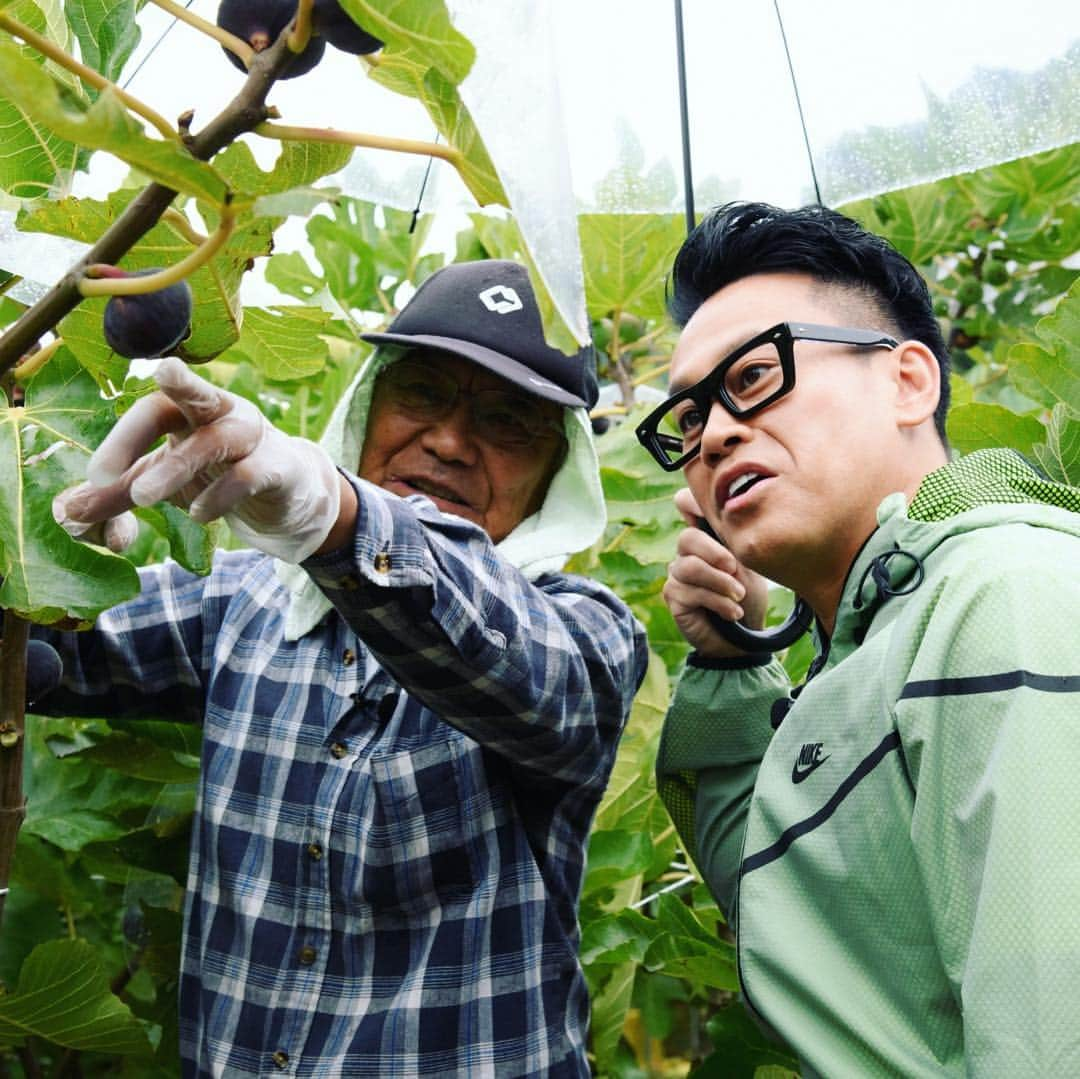 日本テレビ「満天☆青空レストラン」さんのインスタグラム写真 - (日本テレビ「満天☆青空レストラン」Instagram)「今週は「黒イチジク」です♪  #満天青空レストラン #青空レストラン  #青空 #青レス #満天  #宮川大輔  #大ちゃん  #うまい  #日テレ  #日本テレビ  #佐賀  #ロケ  #唐津  #イチジク  #黒イチジク  #中村仁美」11月2日 9時23分 - aozora_official