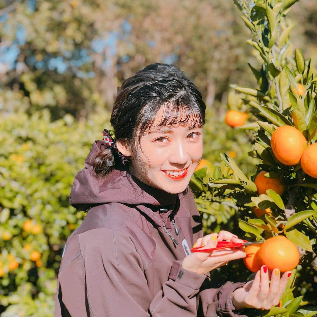 渡辺早織さんのインスタグラム写真 - (渡辺早織Instagram)「本日マウンテンバイク日和です🚵‍♀️ ぶらり寄り道しながらのツーリング、最高でした♪ 🍦🍵🍊 #遠足気分で #鼻歌うたいながら #子供に戻れるアクティビティ #MTB日和 #今月末はつばい」11月2日 14時26分 - _watanabesaori_