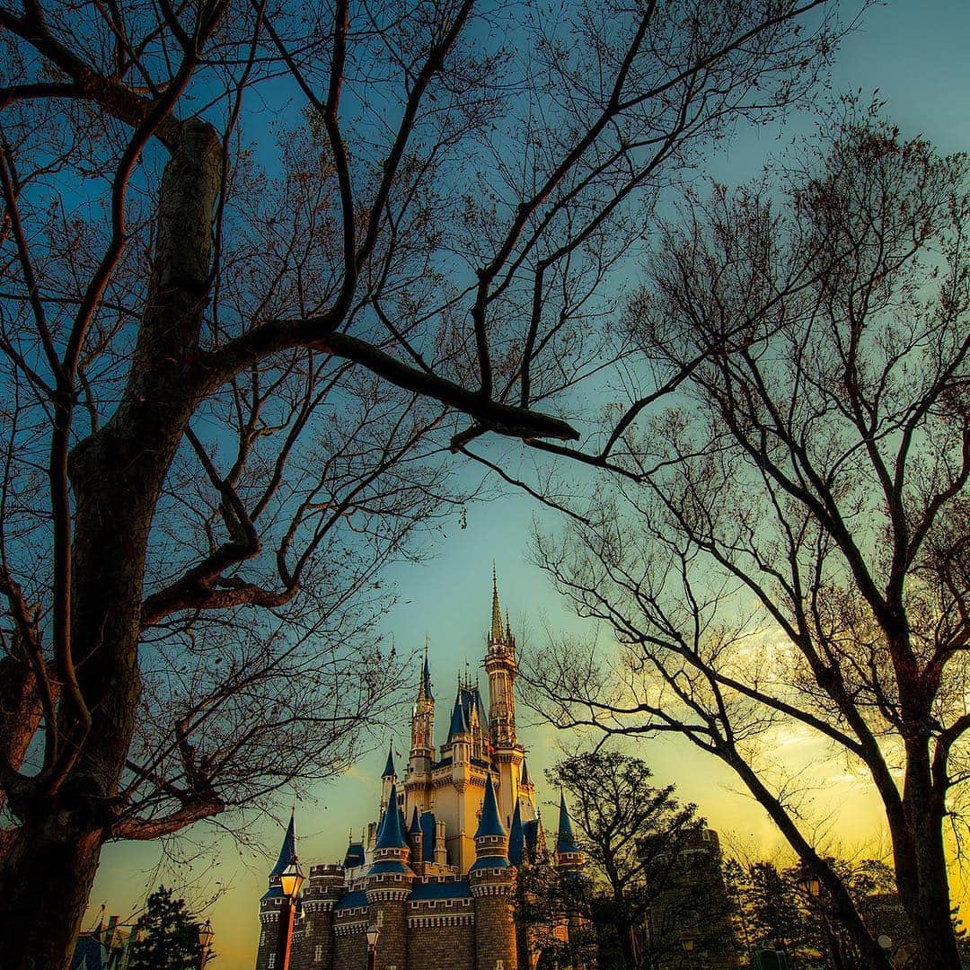 のインスタグラム：「What kind of evening is waiting for you? 舞踏会がはじまりそうな予感…。 #cinderellacastle #tokyodisneyland #tokyodisneyresort #magichour #autumn #シンデレラ城 #東京ディズニーランド #東京ディズニーリゾート #マジックアワー #秋」