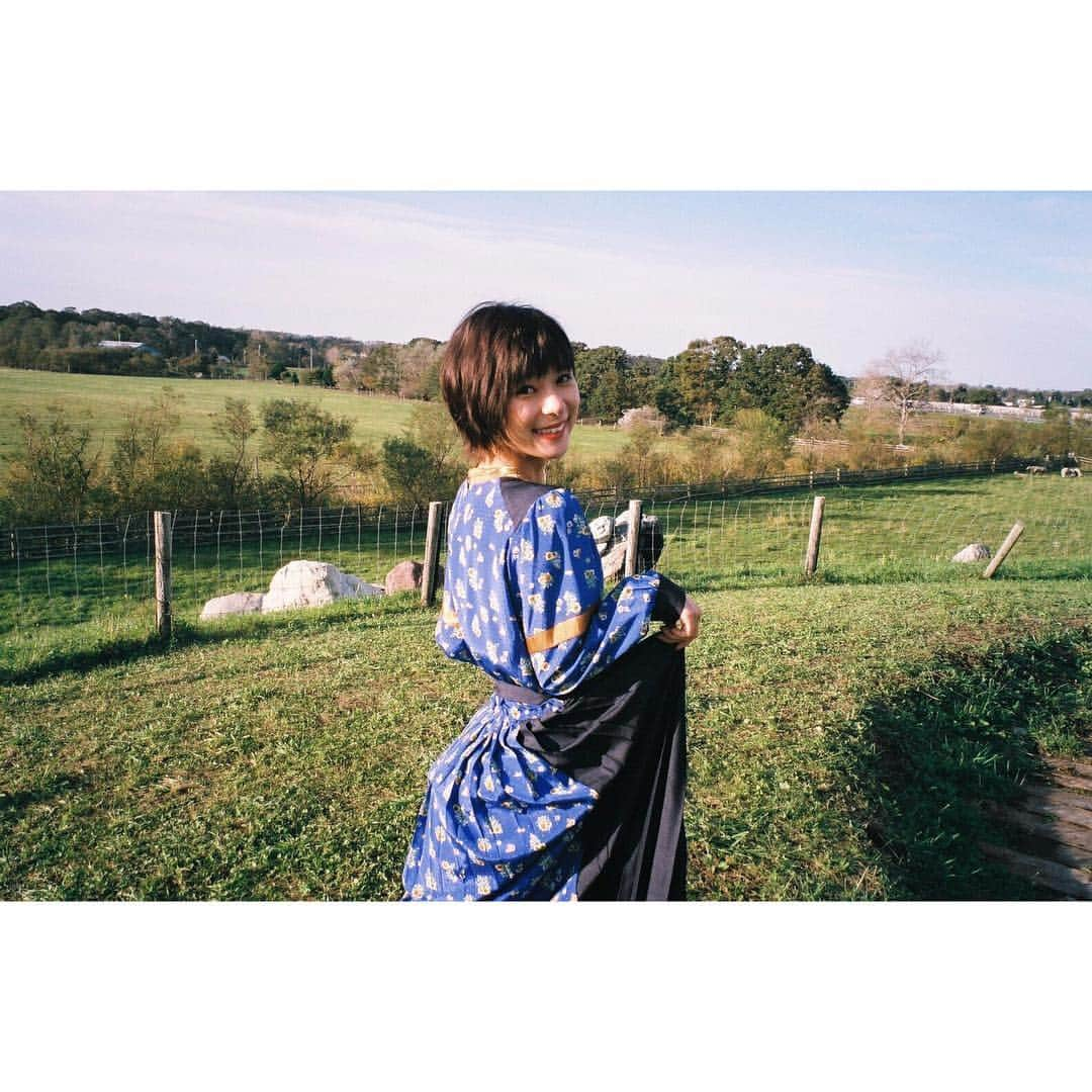 芳根京子さんのインスタグラム写真 - (芳根京子Instagram)「B.L.T. オフショット☺︎ #film #BLT」11月2日 21時34分 - yoshinekyoko