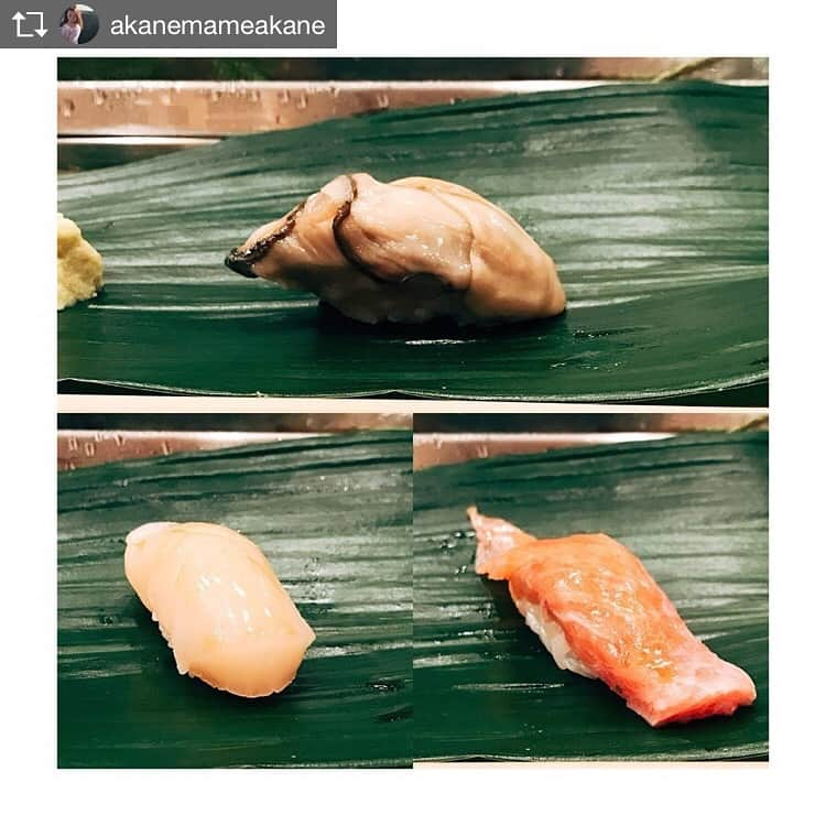 KAKIGIRL（カキガール）さんのインスタグラム写真 - (KAKIGIRL（カキガール）Instagram)「牡蠣を愛するカキガールが食べた牡蠣をご紹介します。 投稿者は @akanemameakane さん。 お店はすし屋の野八さんです。 生牡蠣の昆布締めなんて、美味しそう〜！！ .  生牡蠣をそのまま昆布締めした逸品。 何もつけずにぱくり😋 昆布の旨みが牡蠣の旨みを後押し！ . . 続いて帆立、大トロ🍣 . . #寿司 #sushi #gourmet #instajapan #japanesefood #和食 #washoku #foodphoto #foodpicks #instafood #美食 #にぎり #nigiri #sushistagram #好吃 #日本美食 #tokyoeats #eeeeeats #sushilovers #asakusa #浅草 #すし屋の野八 #野八 #カキガール #牡蠣 #帆立 #大トロ #maguro #tuna #otoro」11月2日 21時46分 - kakigirl.info