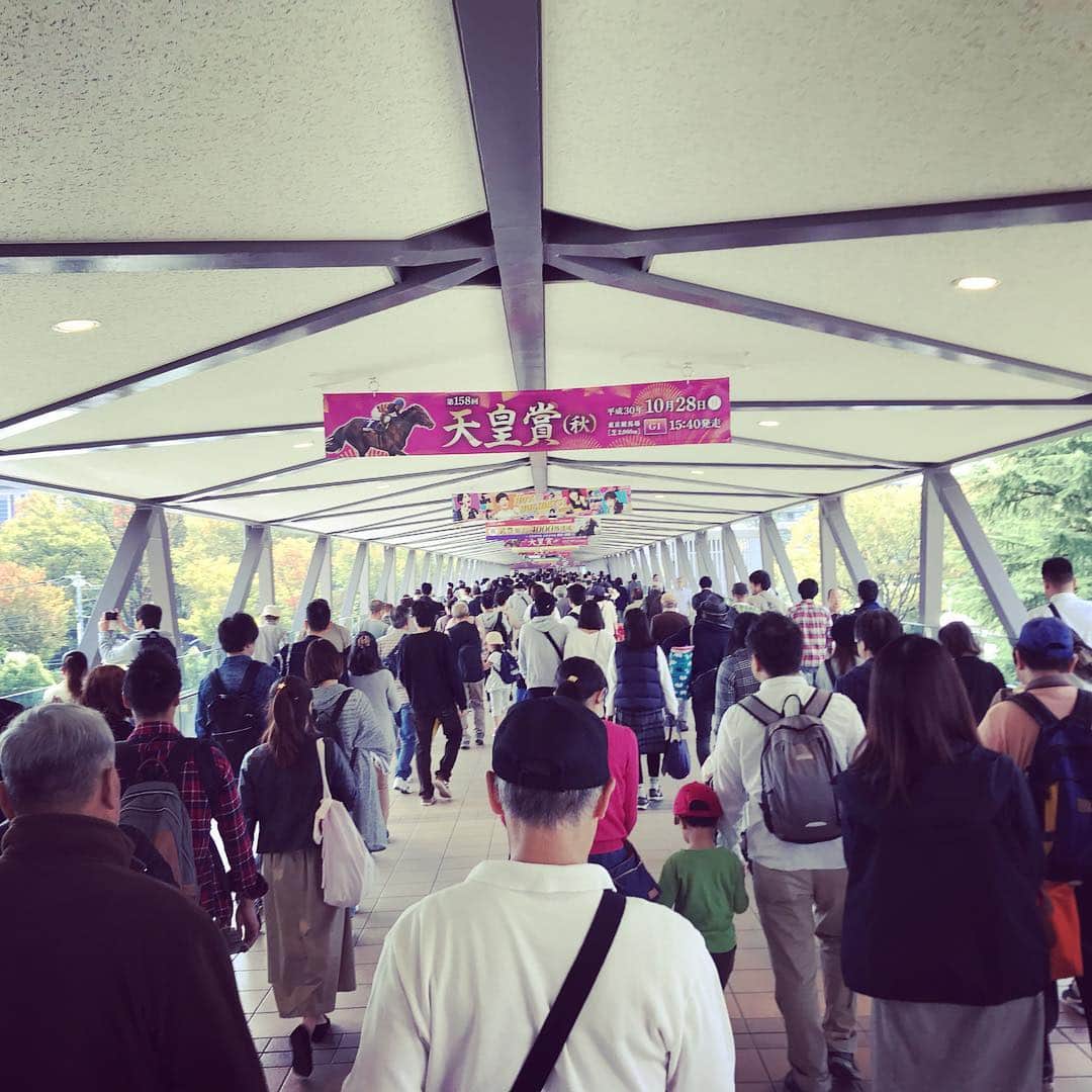 小澤陽子さんのインスタグラム写真 - (小澤陽子Instagram)「at work☻  平成最後の、『天皇賞・秋』🌾🍠🍁 . . #おざよーの本日の人文字KEIBA🏇 は、、天皇賞の〝てん〟を、 衣装でそのまま利用、、点😳🐩(ダルメシアン  #天皇賞 #ダービー馬 #レイデオロ #ルメール騎手 #去年に続き３週間連続GⅠ制覇の快挙🏅 #おざよーのちゃっかり馬券🎫 も… #GⅠ３週連続的中😳🎯✨ #スワーヴリチャードのファンなのでがんばれ馬券も🎫 #残念でもまた次回！  明日は、大好きな〝ア杯〟こと アルゼンチン共和国杯✯ そして、Jpn1のビッグレース: JBC3連チャン🌟  15:00〜みんなのKEIBA🏇 明日はどこからオープニングかなー？🤔」11月3日 15時11分 - yoko.ozawa729