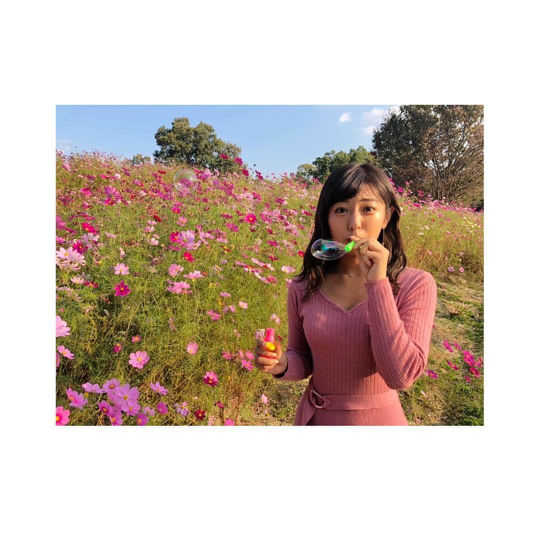 のインスタグラム：「かがわDay🌼 . おやすみを頂いて まだ行ったことがないところに🏃‍♀️ . まんのう公園は お花がとっても綺麗☺️💞 コスモス畑でのシャボン玉💭 ふわふわドームや輪投げ、ストラックアウトなど 童心にかえって遊びまくりました👶✨ 楽しすぎました！ . 今話題の日本のウユニ塩湖“父母ヶ浜🧡” ずーーっと行きたかった場所にようやく😻 絶景のひとことにつきます！ この日は特に夕日がとても綺麗でした🌅 さっそく私のお気に入りの場所に💓 みなさんもぜひ行ってみてください🐶 . #香川県 #うどん県 #それだけじゃないよ #まんのう公園 #父母ヶ浜 #無駄にスコピとかやりたくなる #チアあるある #むしろ現役引退してからの方がやってる🤔笑」